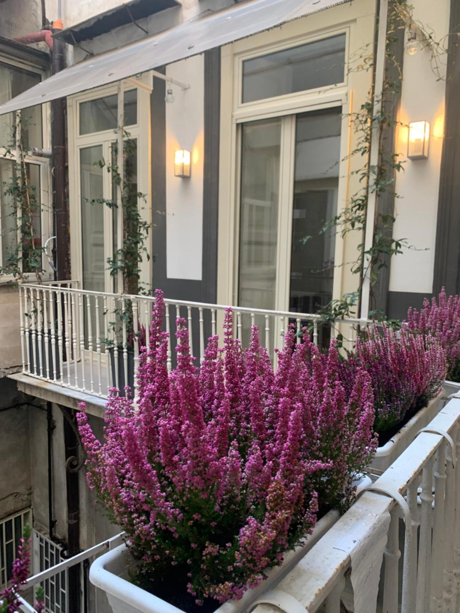 Casa Orlanda Apartment Napoli Ngoại thất bức ảnh